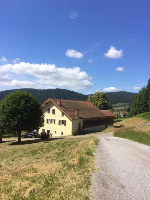 Chalet Cosy Lisiere De Foret Xonrupt-Longemer Exterior photo