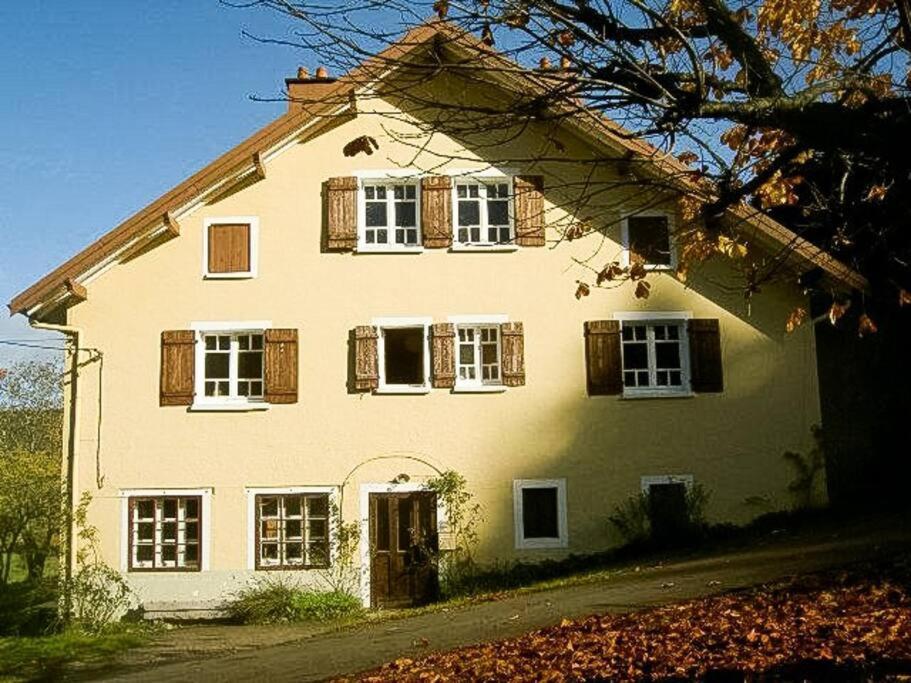 Chalet Cosy Lisiere De Foret Xonrupt-Longemer Exterior photo